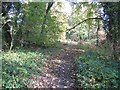 Footpath at Moss Valley Country Park