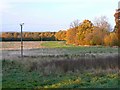 A view north from Pulpit Hill, east of Sparsholt, Oxfordshire