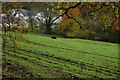 Field at Inchbrook