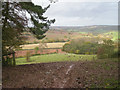 In the Shropshire countryside