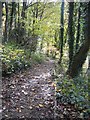 Steps down at Moss Valley Country Park