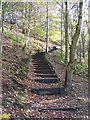 Flight of steps at Moss Valley Country Park