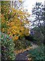 Cwmbran footpath