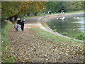 Wollaton Park Lake