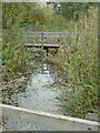 Boardwalk on Martins Pond