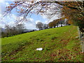 Pastures north-west of Machen