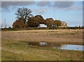 Pool near Tedgewood