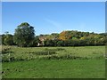 View of Brick End from Home Farm