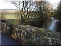 The Rhymney River at Michaelstone Bridge