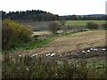 Farmland near Park Head Farm, Netherwitton