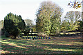 Yew trees and gravestones, St Mary