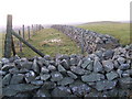 NY0918 : Walls and fences on top of Kelton Fell by David Brown