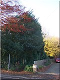 TQ7963 : Bridlepath to South Wood, Hempstead by David Anstiss