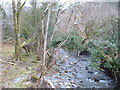 The Nanmor stream near Dolfriog