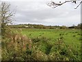 Tully Townland