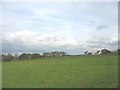 Farmland at Bryn Howydd