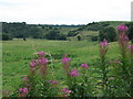 View of the Churnet valley from the canal