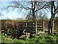 Footbridge over Paxtondean Burn