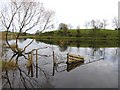 Upper Lough Erne