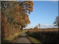 Heniker Lane, Sutton Valence, Kent