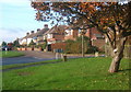 Line of houses in Stowupland