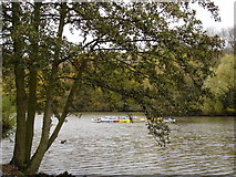 SK5438 : Lake on Nottingham University Campus by Oxymoron