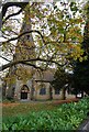 TQ5939 : Autumn colours at St James church by N Chadwick