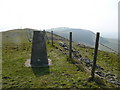 SJ1653 : Summit ridge and trig point on Moel y Waun by Colin Park