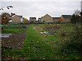 Allotments on Toft Lane