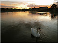 Newburgh: Sunset on the Foveran Burn