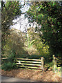 Footpath through Stonyhills Plantation