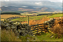 NO6793 : A gate above Ardlair by Nigel Corby