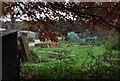 Allotments near Rusthall