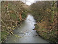 Netherthorpe - River Doe Lea