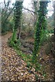 Small unnamed stream on the edge of Tunbridge Wells