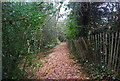 Semi urban footpath near Denney Bottom