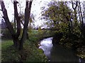 View of the stream, Leckhampstead