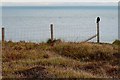 SZ1790 : Crow on a Post , Hengistbury Head by Nigel Mykura