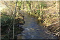 River Avon from Horsebrook Bridge