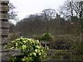 Freston Tower from gatehouse