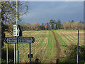 Bridleway, Ruscombe