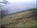 Crug from high above