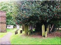 TQ1364 : (Part of) the churchyard of St. George's by Mike Quinn