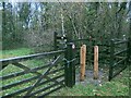 Entrance to Tregib Wood from Cwm Cib