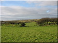 Grazing land at Plas Llanfaelog Farm