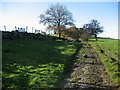 Ebor Way near Bank Side Farm