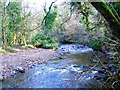 River Brock at Brock Bottom