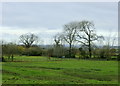 2008 : Farmland near Coulston