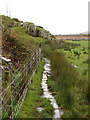 Footpath to Bryn Glas