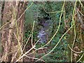 Stream, Old Amroth Road, Llanteg